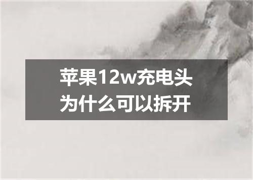 苹果12w充电头为什么可以拆开