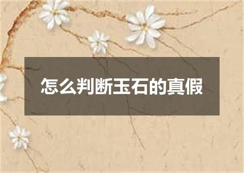 怎么判断玉石的真假