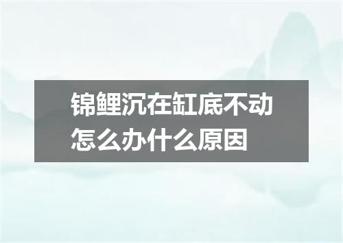 锦鲤沉在缸底不动怎么办什么原因