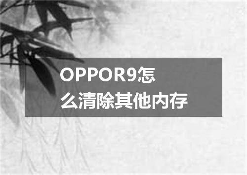 OPPOR9怎么清除其他内存