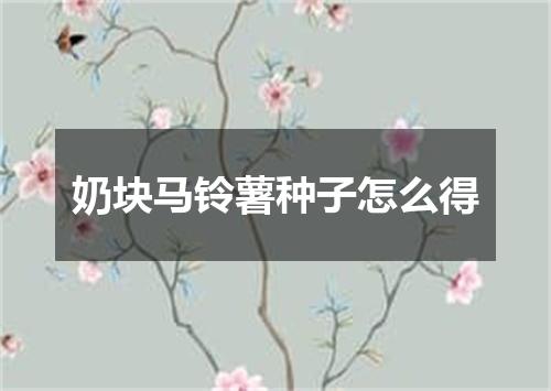 奶块马铃薯种子怎么得