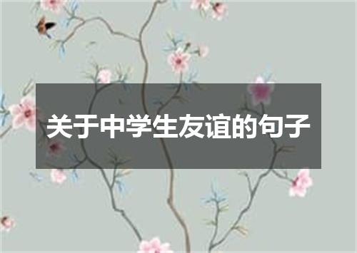 关于中学生友谊的句子