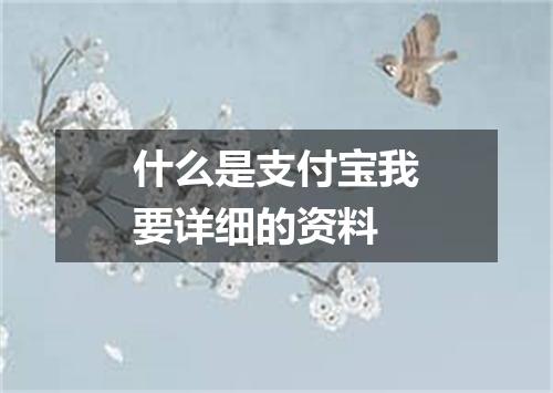 什么是支付宝我要详细的资料