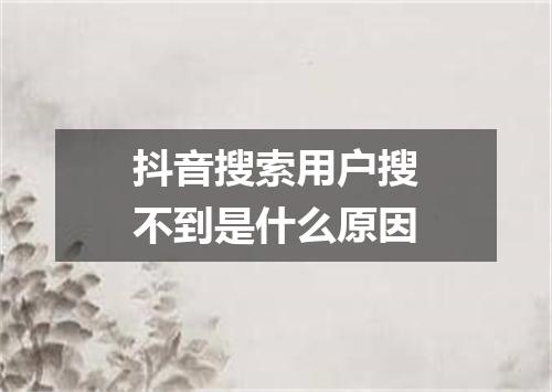 抖音搜索用户搜不到是什么原因