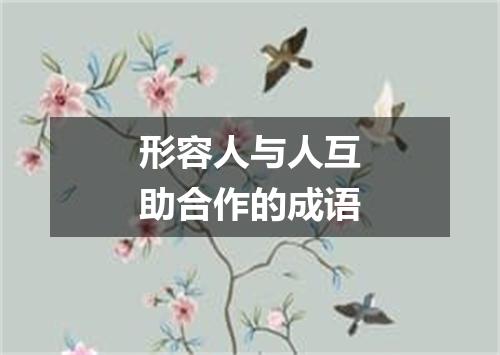 形容人与人互助合作的成语