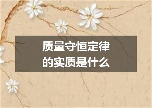 质量守恒定律的实质是什么