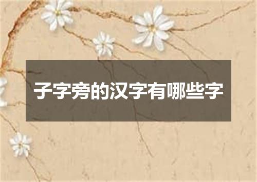 子字旁的汉字有哪些字