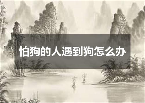 怕狗的人遇到狗怎么办