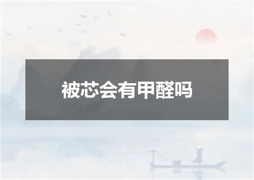 被芯会有甲醛吗