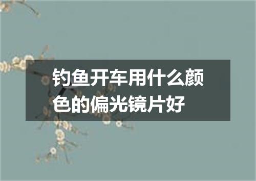 钓鱼开车用什么颜色的偏光镜片好