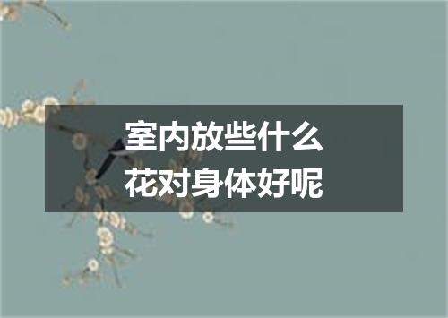 室内放些什么花对身体好呢