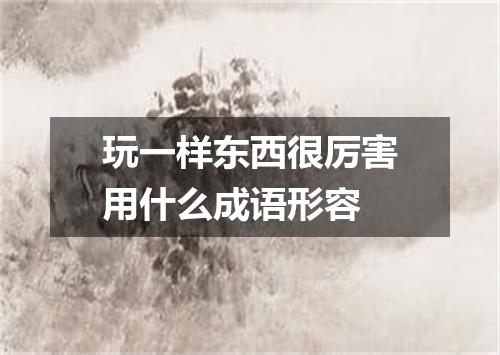 玩一样东西很厉害用什么成语形容