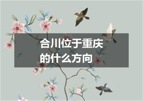 合川位于重庆的什么方向