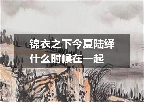 锦衣之下今夏陆绎什么时候在一起
