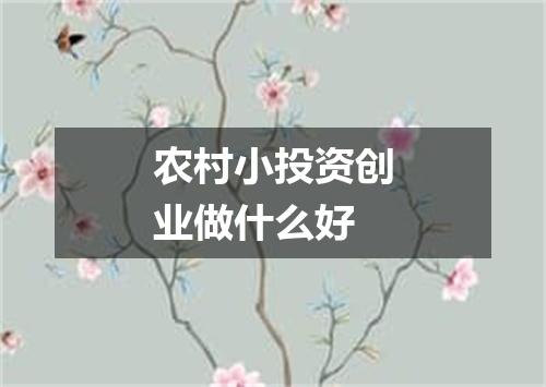 农村小投资创业做什么好