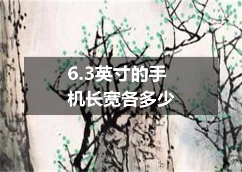 6.3英寸的手机长宽各多少