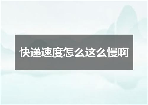 快递速度怎么这么慢啊