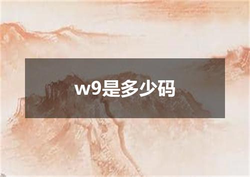 w9是多少码