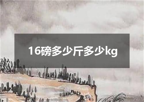 16磅多少斤多少kg
