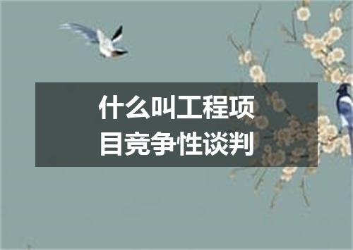 什么叫工程项目竞争性谈判