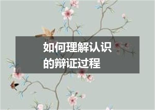 如何理解认识的辩证过程