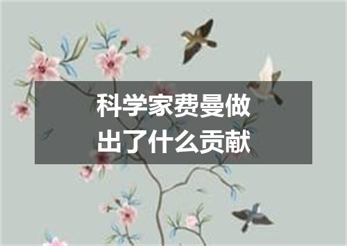 科学家费曼做出了什么贡献