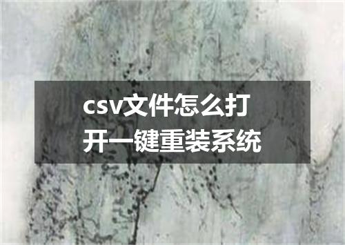 csv文件怎么打开一键重装系统
