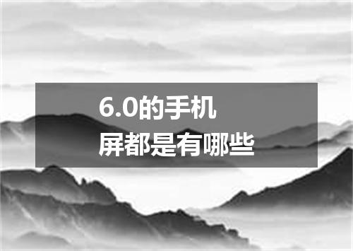6.0的手机屏都是有哪些