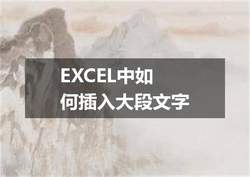 EXCEL中如何插入大段文字