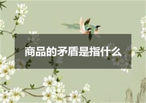 商品的矛盾是指什么
