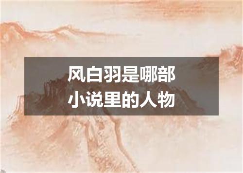 风白羽是哪部小说里的人物