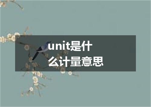 unit是什么计量意思