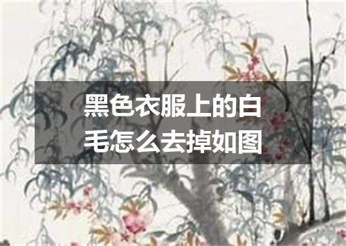 黑色衣服上的白毛怎么去掉如图