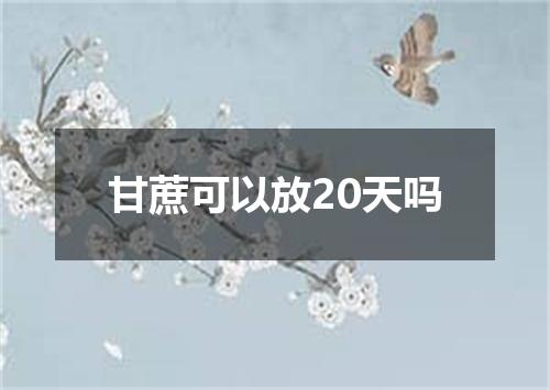 甘蔗可以放20天吗