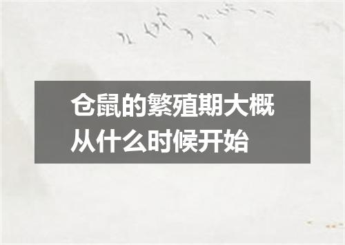 仓鼠的繁殖期大概从什么时候开始