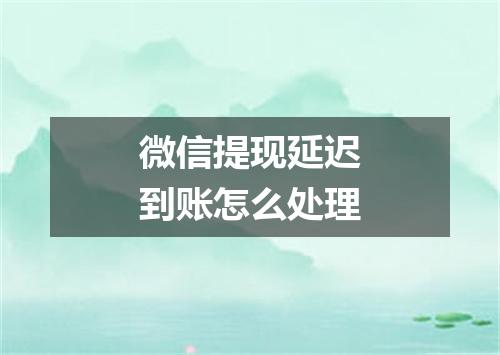 微信提现延迟到账怎么处理