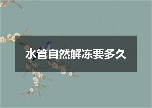 水管自然解冻要多久