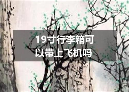 19寸行李箱可以带上飞机吗