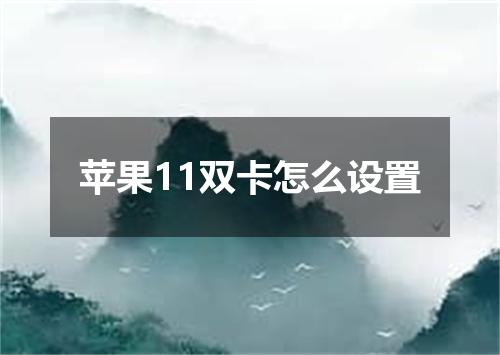 苹果11双卡怎么设置