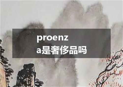 proenza是奢侈品吗