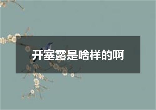 开塞露是啥样的啊