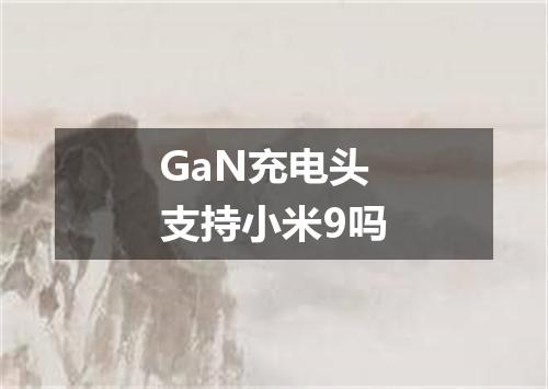 GaN充电头支持小米9吗