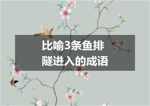比喻3条鱼排隧进入的成语