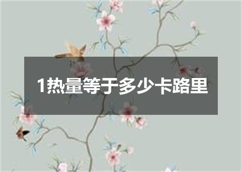 1热量等于多少卡路里