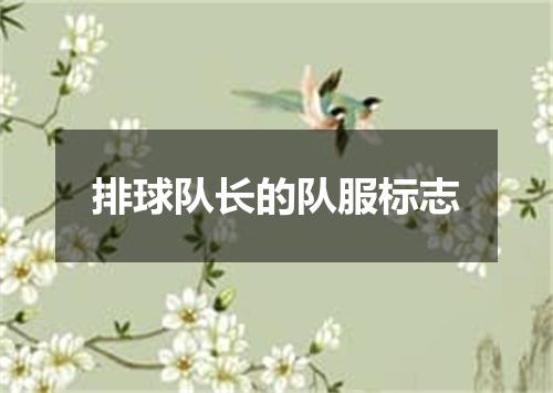 排球队长的队服标志