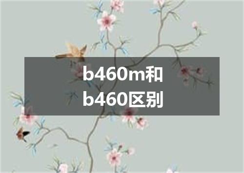 b460m和b460区别