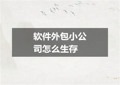 软件外包小公司怎么生存