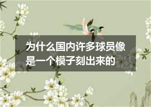 为什么国内许多球员像是一个模子刻出来的