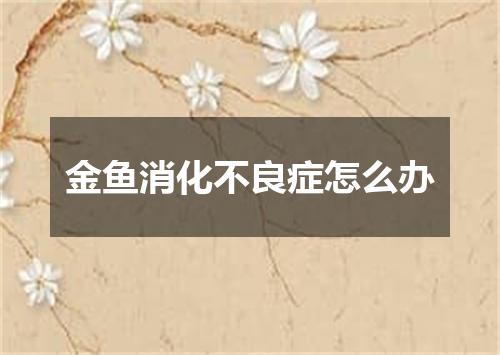 金鱼消化不良症怎么办