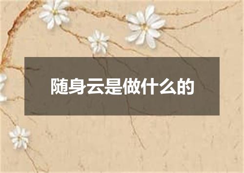 随身云是做什么的